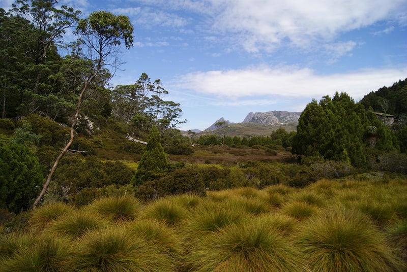 Overland Track, Australia